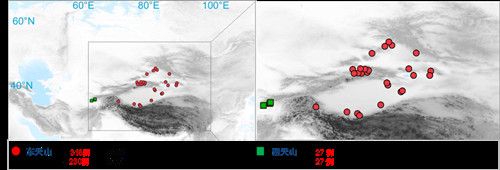 项目获取的天山东西部古人群的线粒体与核基因组分布图。 乐动平台客服供图